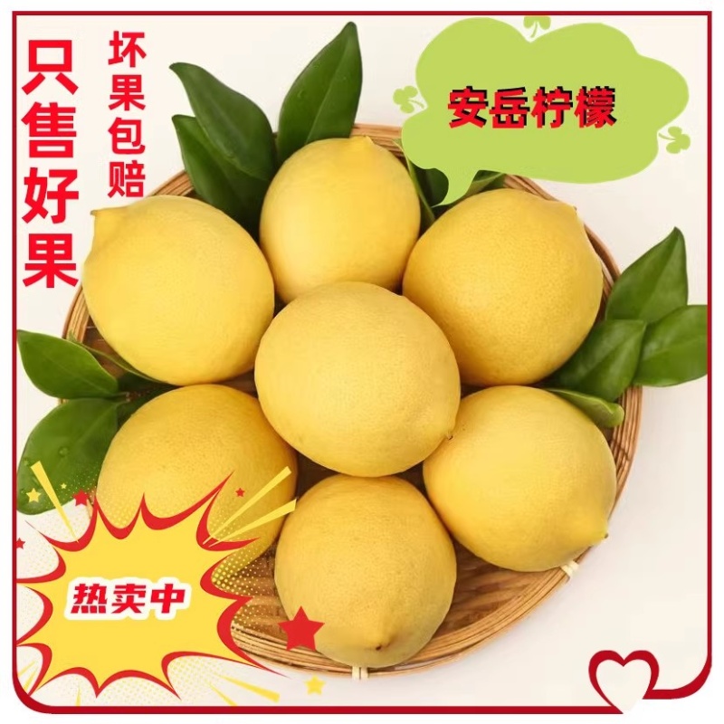 四川安岳尤力克现摘当季新鲜黄柠檬水果精选一级无蜡薄皮多汁包邮