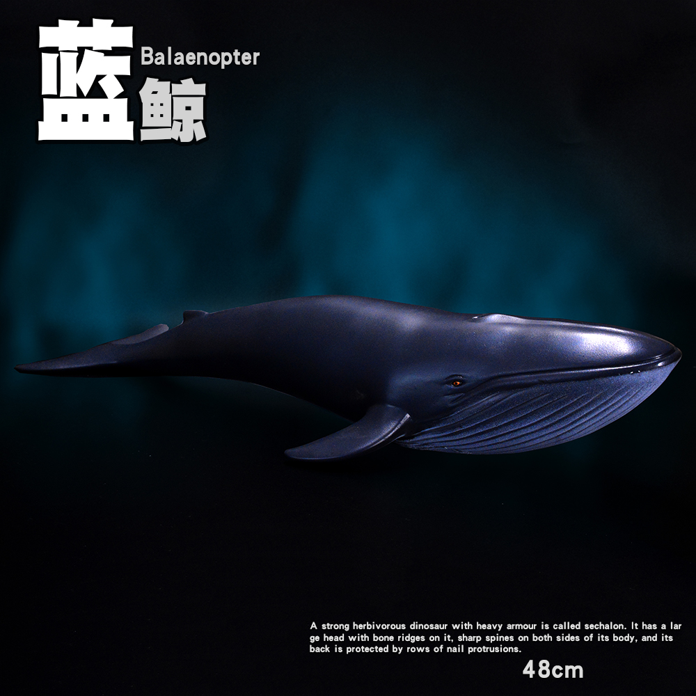 软胶仿真海洋生物动物模型玩具大号软胶深海 蓝鲸 鲸鱼玩具