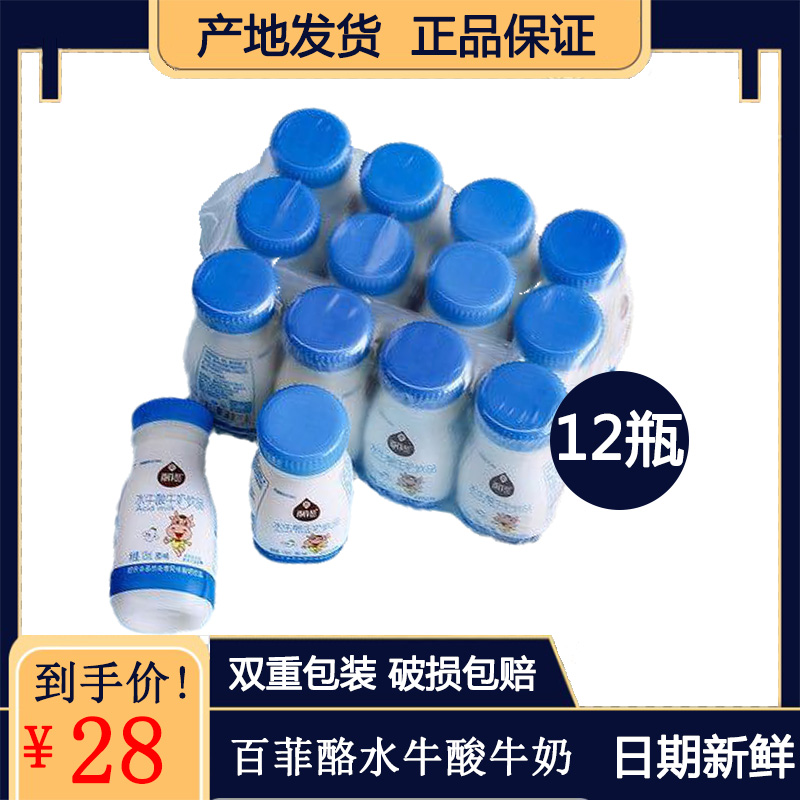 水牛奶酸奶125ml*12瓶儿童早餐原味风味益生菌乳酸菌饮品鲜