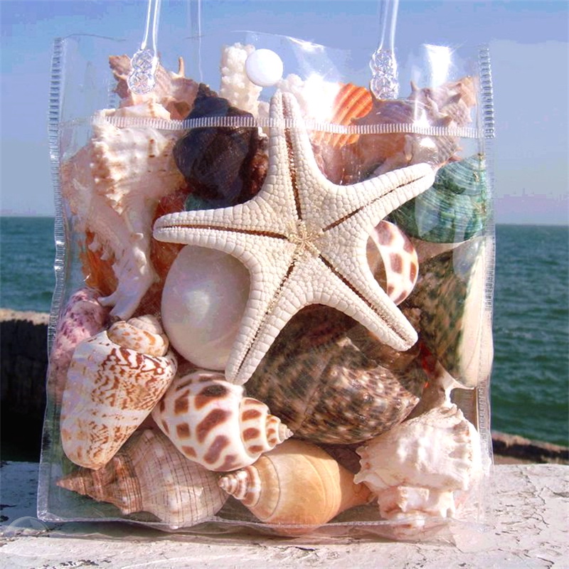 天然贝壳海螺壳摆件海星贝壳鱼缸水族箱地台造景儿童玩具礼物包邮