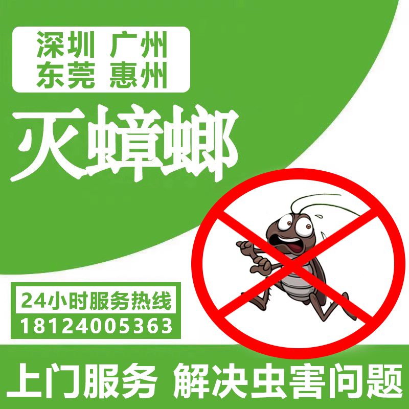 深圳广州东莞惠州武汉杀虫公司专业上门灭老鼠防治白蚁除蟑螂跳蚤