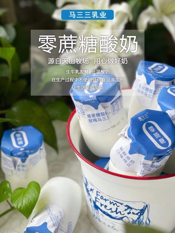 新日期新疆马三三零蔗糖原味酸奶180g*12瓶 风味发酵乳新疆酸奶