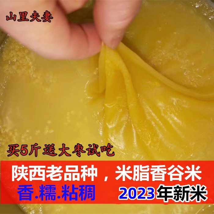 黄小米延安油小米老品种香谷米2023年新米脂小米原粮香谷米500g