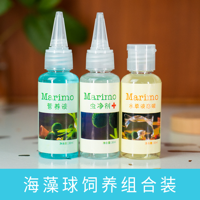 乖乖猫marimo马里莫海藻球营养液球藻生态瓶水培植物家用9.9包邮