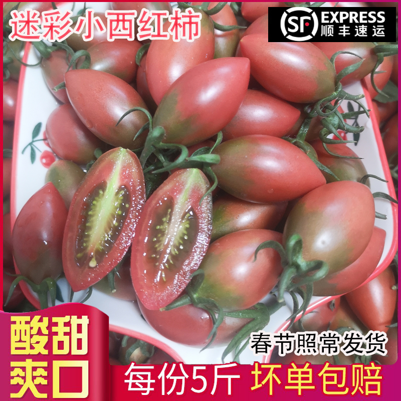 漳州子弹头迷彩小番茄新鲜圣女果紫色番茄现摘孕妇酸水果顺丰包邮
