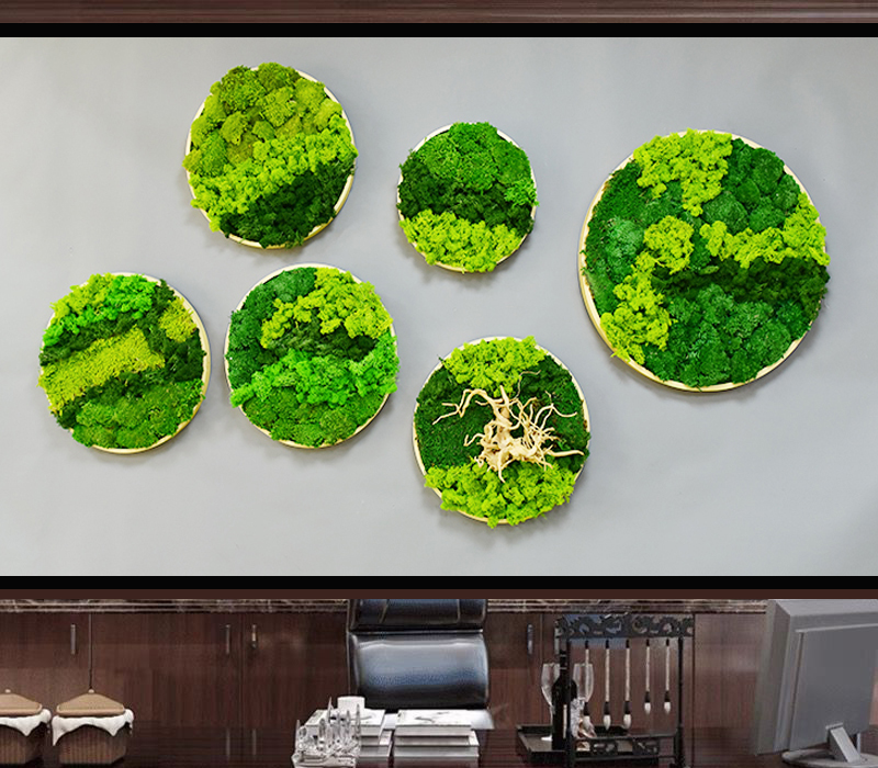 永生苔藓干花绿植壁挂挂件挂饰壁饰餐厅客厅景观植物墙墙面装饰