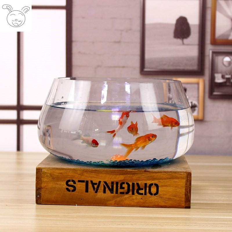 鱼缸透明玻璃肚径35厘米圆形圆球圆型小型乌龟迷你桌面30cm小鱼缸