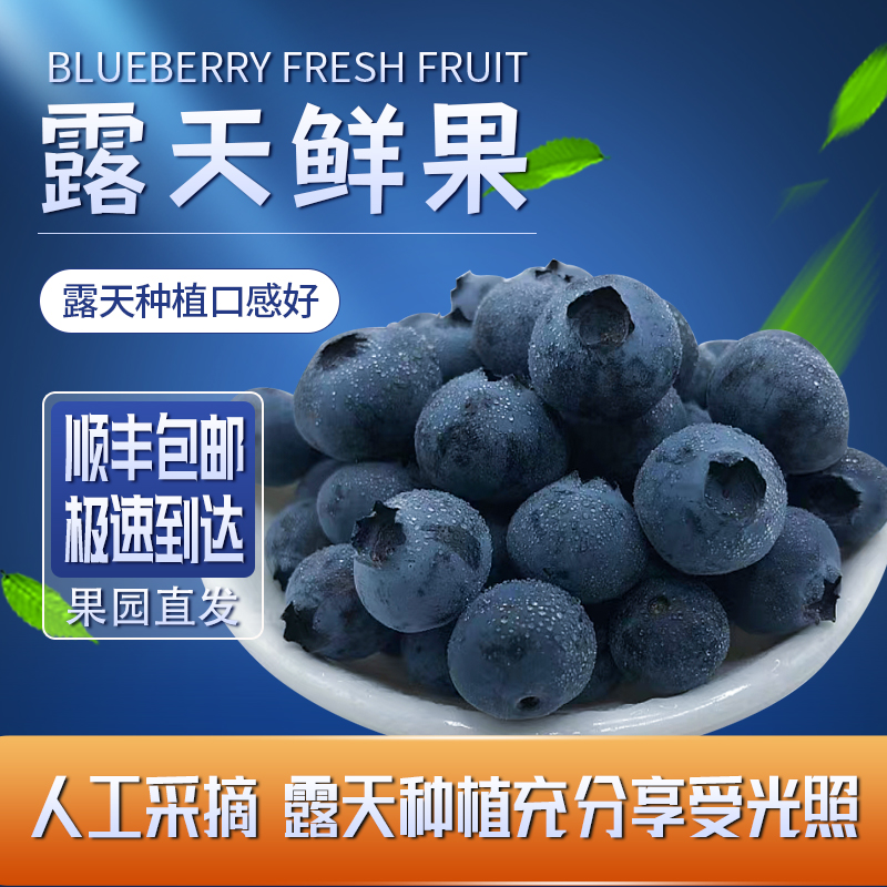 【顺丰空运】云南新鲜蓝莓鲜果当季现摘现发孕妇水果宝宝辅食