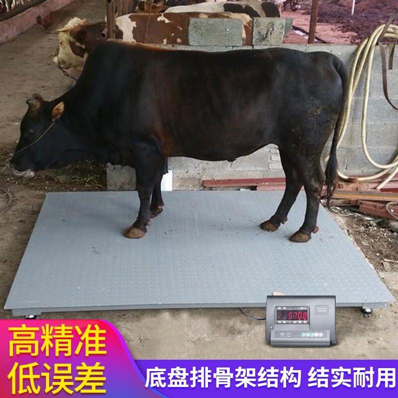 妙普乐地磅秤13吨地磅工厂物流电子秤5吨地磅称猪牛小型围栏地磅