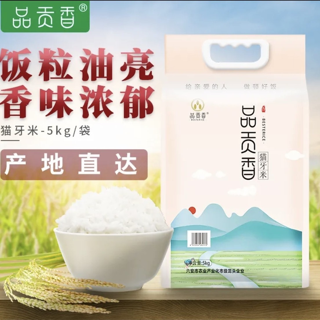 品贡香猫牙王大米5kg10斤 2021年现磨新米优质长粒米籼米 真空装