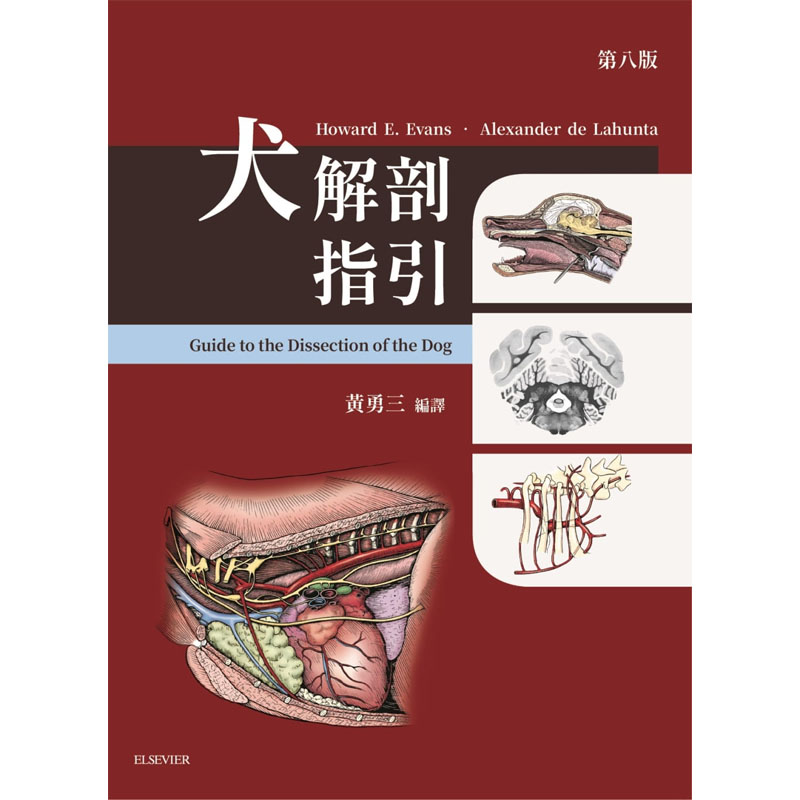 现货正版 Howard E. Evans犬解剖指引第八版中国台湾爱思唯尔  原版进口书