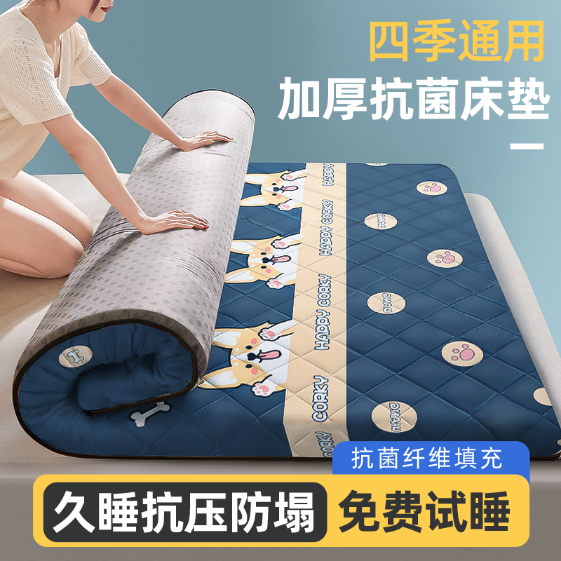 床垫软垫家用榻榻米垫子儿童海绵垫双人床褥子夏季单人租房专用gr