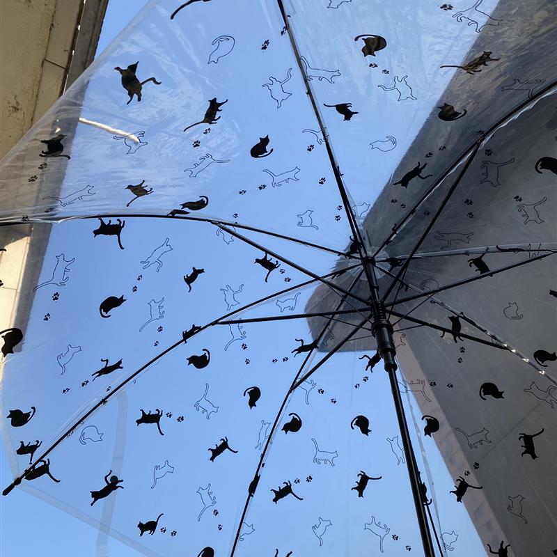 美雨季日系慵懒的猫黑猫雨伞长柄透明雨伞自动透明雨伞diy彩绘雨