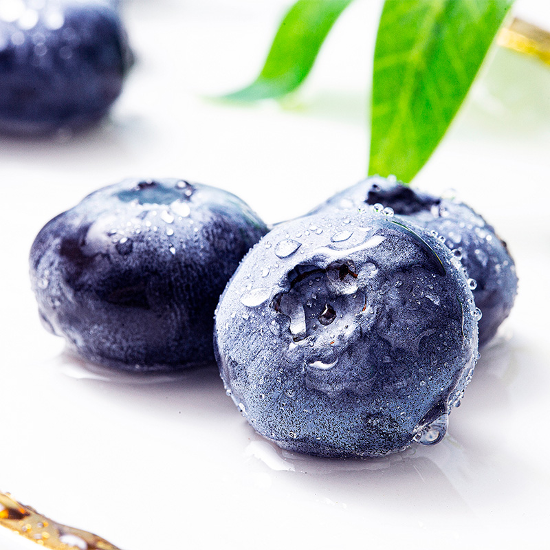 丹东新鲜蓝莓鲜果现摘宝宝辅食孕妇新鲜水果脆甜花香个大营养丰富