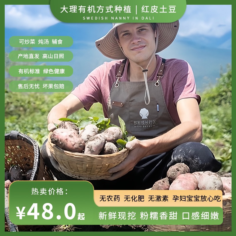 云南高原有机方式种植红皮土豆新鲜无农残辅食孕妇马铃薯洋芋现挖
