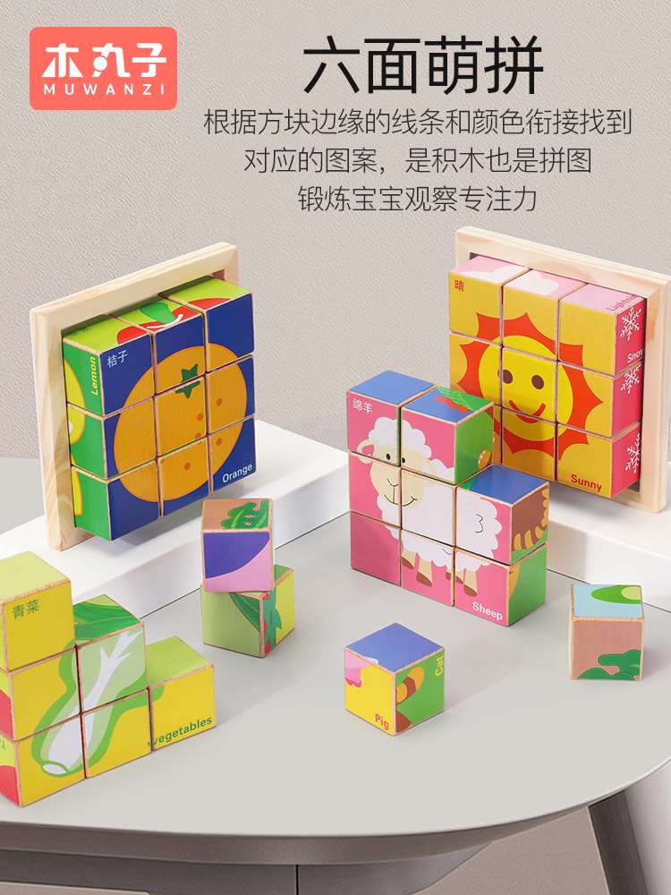 六面画拼图立体3d模型2-6岁儿童宝宝早教拼装益智积木玩具大颗粒4