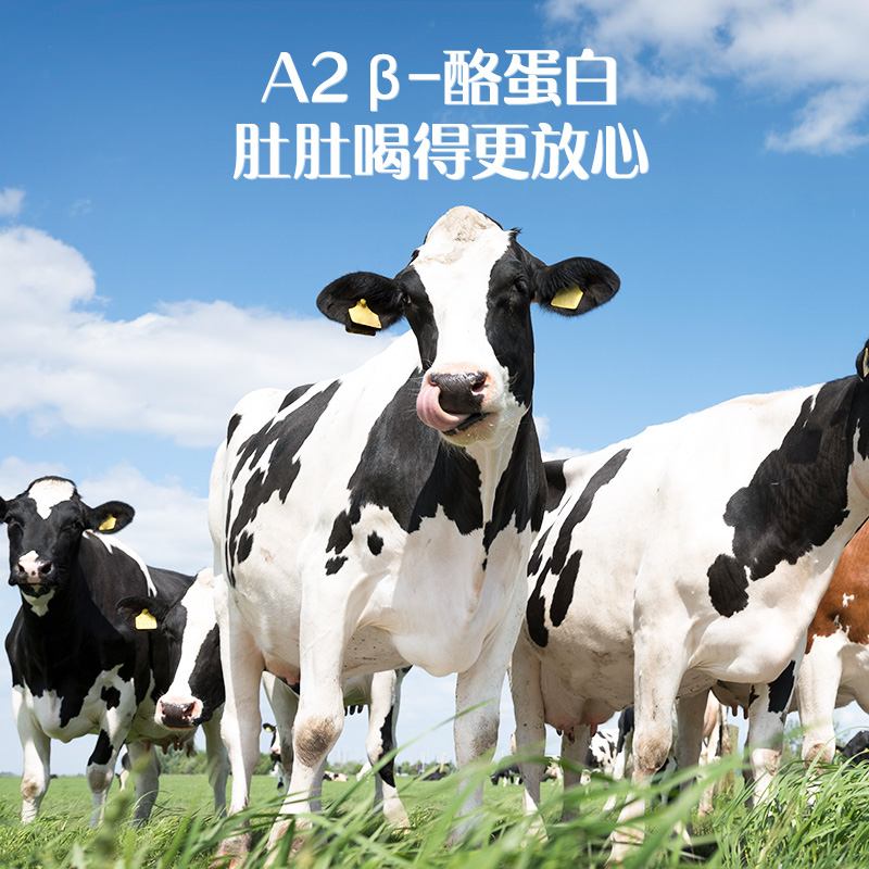 2月认养一头牛A2β酪蛋白有机儿童纯牛奶200ml*10盒*1提学生牛奶