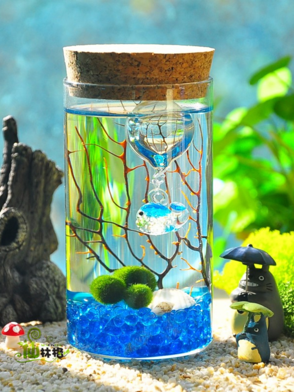 仙林格大促marimo海藻球创意迷你植物微景观生态瓶花样四季