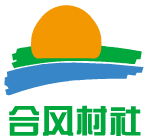 内江合风村社农产品