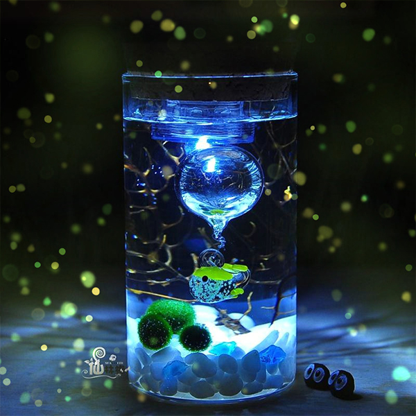 仙林格大促marimo海藻球创意迷你植物微景观生态瓶花样四季