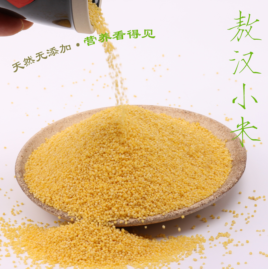 孟克河敖汉小米有机黄米当季新米500gx5袋月子米营养早餐优选袋装