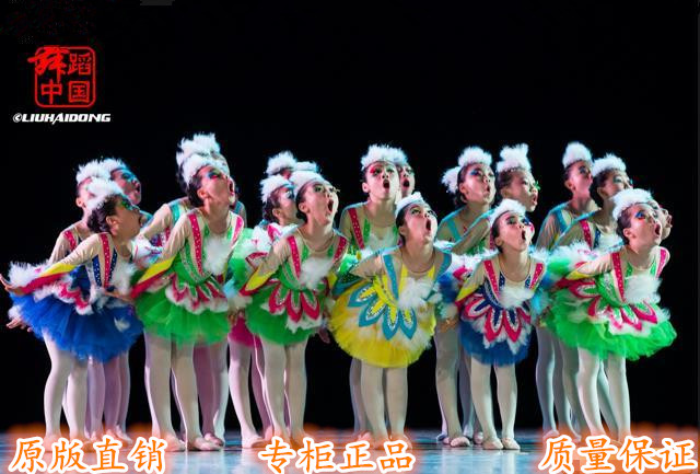 新款第八届小荷风采《鸟仔》儿童舞蹈表演服装舞台演出服装