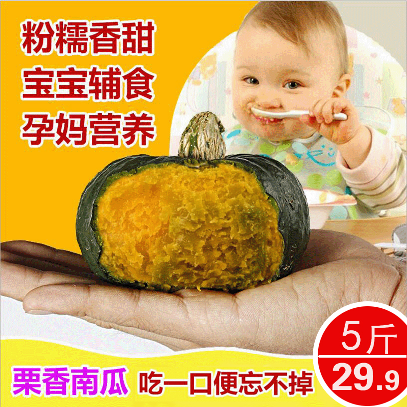 正宗日本进口新鲜贝贝小南瓜板栗味宝宝辅食5斤包邮迷你南瓜蔬菜