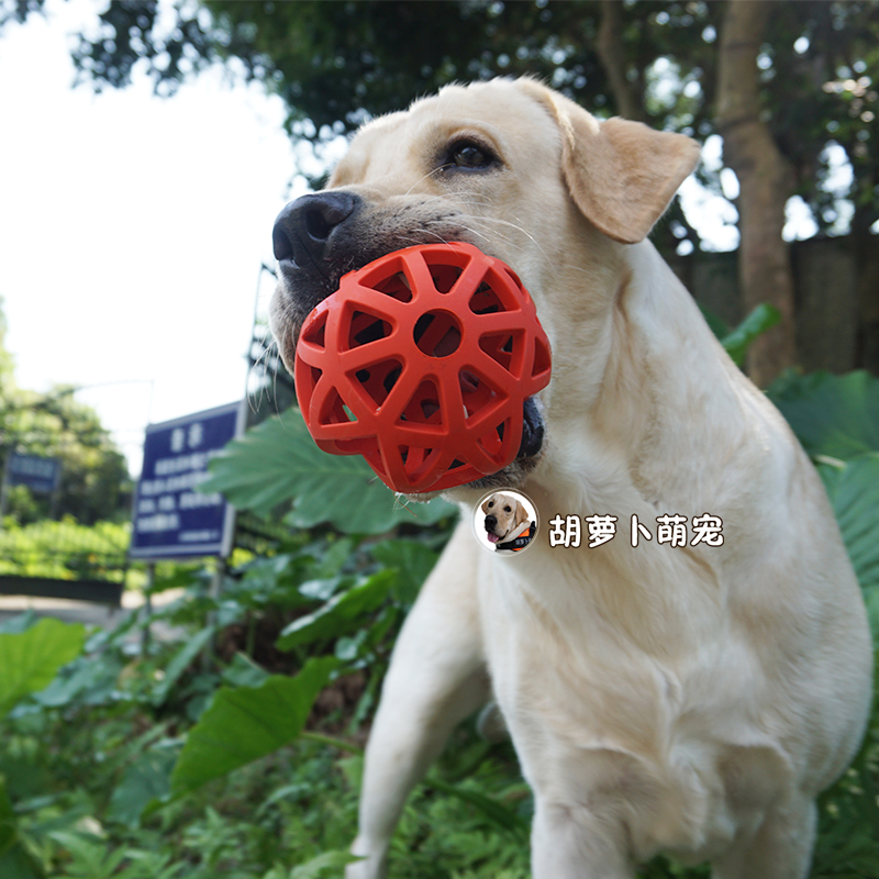 狗狗磨牙耐咬玩具橡胶洁齿球中大型犬益智宠物玩具拉布拉多金毛球